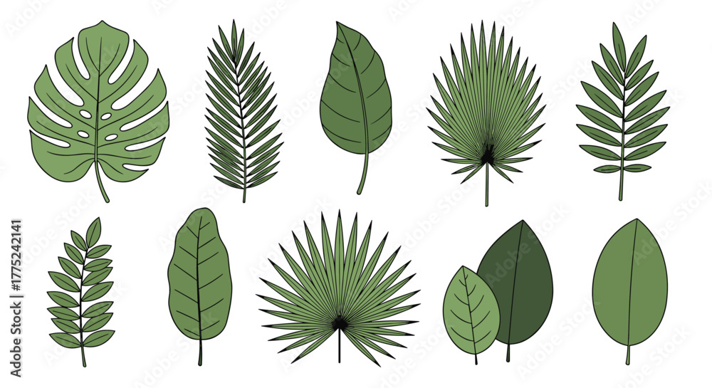 Fototapeta premium A collection of hand-drawn tropical leaf illustrations in shades of green on a white background, perfect for design projects and decor purposes.