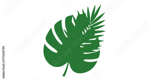 Tropical leaves with transparent background