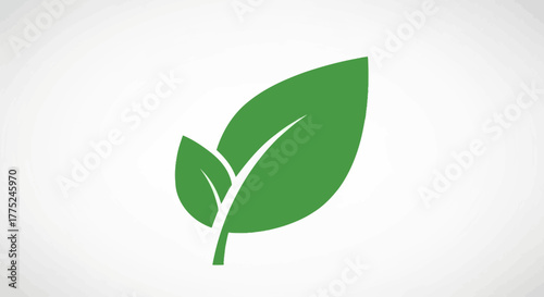 Green leaves icon with transparent background