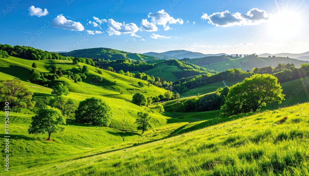Obraz premium Vibrant Green Rolling Hills Under Bright Blue Sky and Sunlight