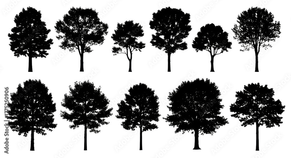 Fototapeta premium Tree Silhouette Assortment transparent bg, cutout PNG