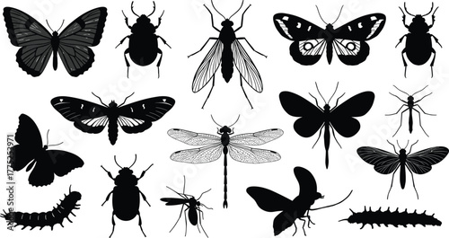 Insect silhouette collection, butterfly, beetle, dragonfly, mosquito, fly, moth, caterpillar, arthropod, entomology, wings, antennae, vector, black, isolated, n