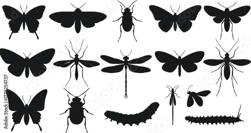 Insect silhouettes, butterfly, beetle, dragonfly, mosquito, moth, caterpillar, black vector, entomology, wings, anatomy, bug species, comparison, grid, 