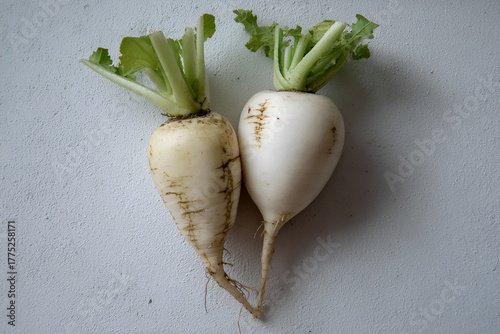 [AI Digital Art] White Radish