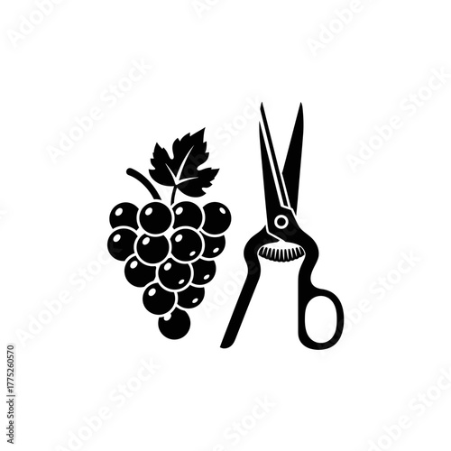 Grape Harvest Icon | Vineyard Scissors Symbol | Agriculture Fruit Picking Vector Illustration