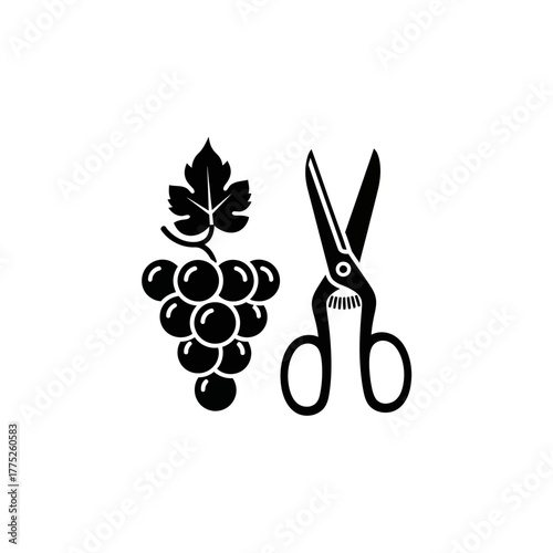 Grape Harvest Icon | Vineyard Scissors Symbol | Agriculture Fruit Picking Vector Illustration