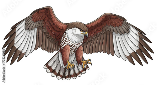 eagle with wings