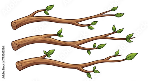 vector illustration of a tree
