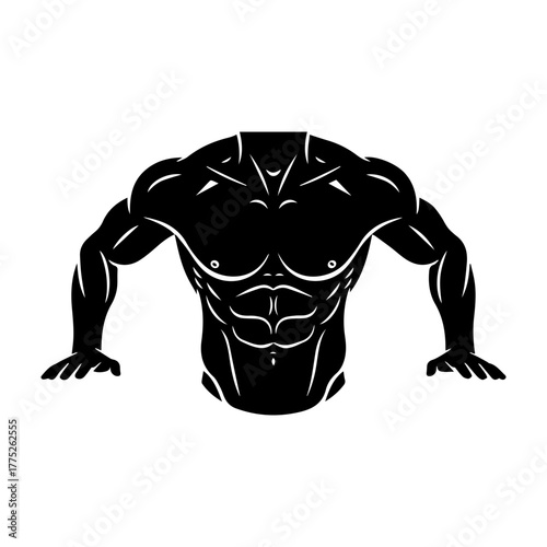 Muscular torso illustration Vector