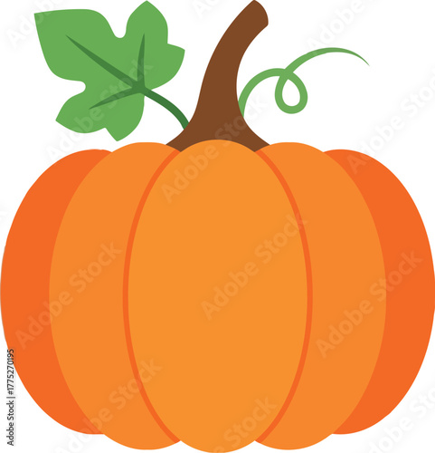 Orange pumpkin autumn harvest fall season