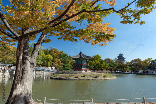 Photography 경복궁내에서 가장 아름답다는 형원정의 가을과 사람들-경복궁, 종로구 서울, 대한민국