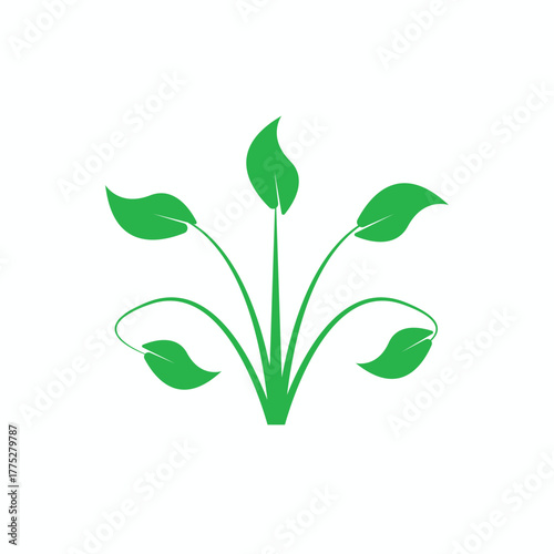 Green Plant Symbol of Nature: A clean and simple graphic of a vibrant green plant, radiating freshness, health, and environmental consciousness, against a minimalist background.