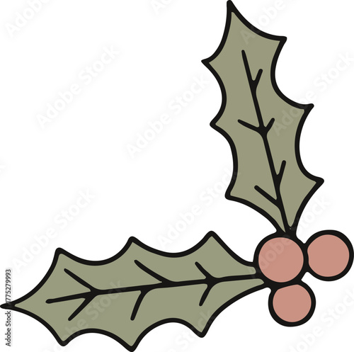 Christmas decoration mistletoe berry red and green