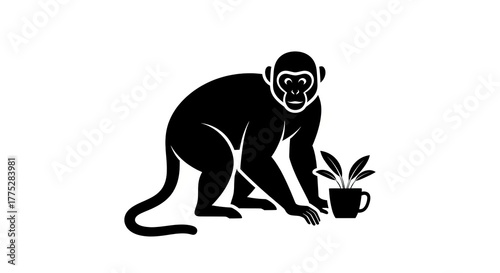 Monkey silhouette holding cup and plant on white background