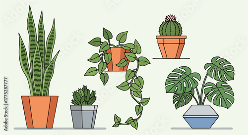 Stock photos of a cactus in a pot for interior home decoration highlight its growth and nature as an isolated houseplant