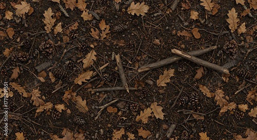 Ground cover brown leaves sticks and pinecones scattered on soil