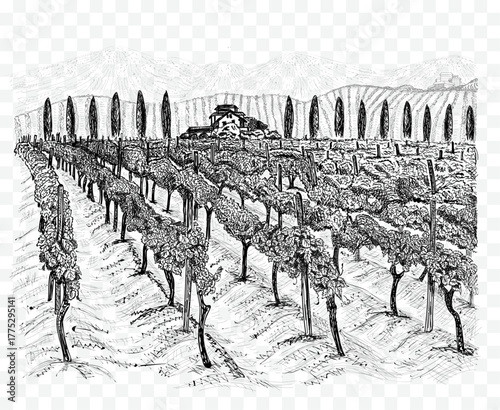 Vineyard landscape with building on the hill and mountains on horizon. Hand drawn sketch vector illustration isolated on white