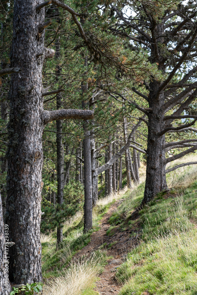 Obraz premium Andorra im Herbst