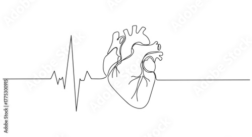A continuous one line minimalist vector illustration of a human heart with an electrocardiogram waveform, symbolizing medical health