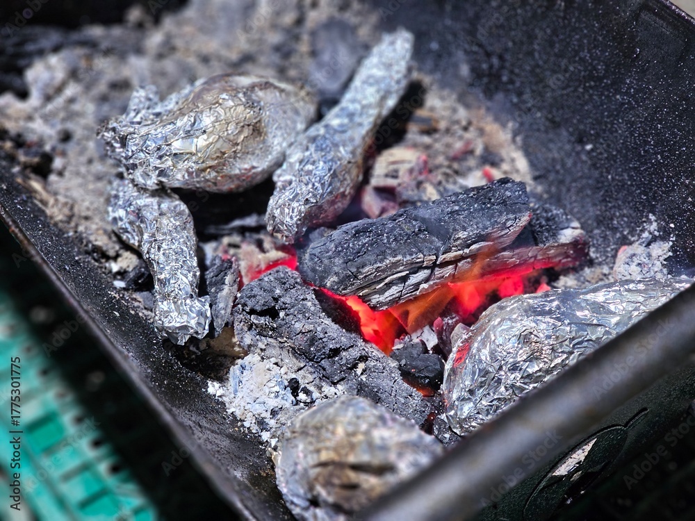 Fototapeta premium 고구마