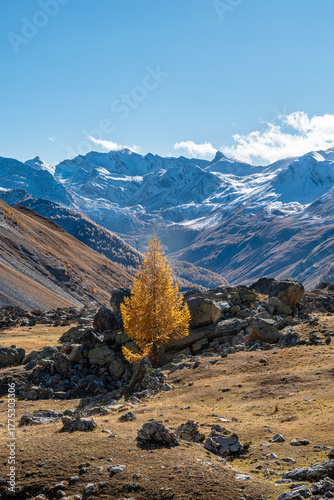 Ai piedi del Monte Oronaye, nella bellissima valle dell’Ubayette, il Lago della Reculaye