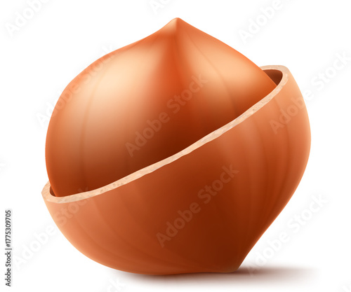 Half Peeled Hazelnuts Isolated on White Background. Hazelnut kernels are ripe and tasty, a healthy treat, a source of protein. For snacks and chocolate spread. Realistic 3d vector illustration.