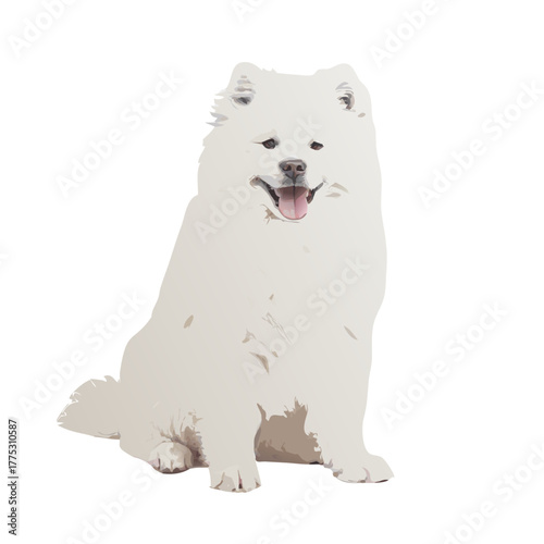 Happy White Samoyed Dog Sitting Down. Fluffy Siberian Spirtz Breed Vector Illustration