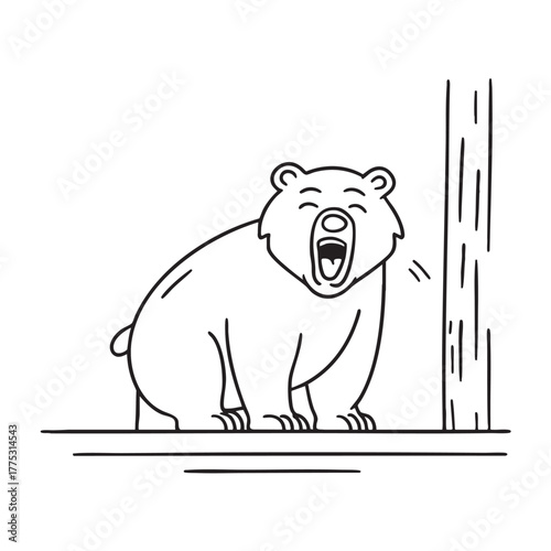 A bear yawns at the zoo beside a wall