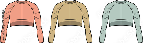 Fashionable Cropped Sweatshirts in Various Colors Stylish and Trendy Apparel