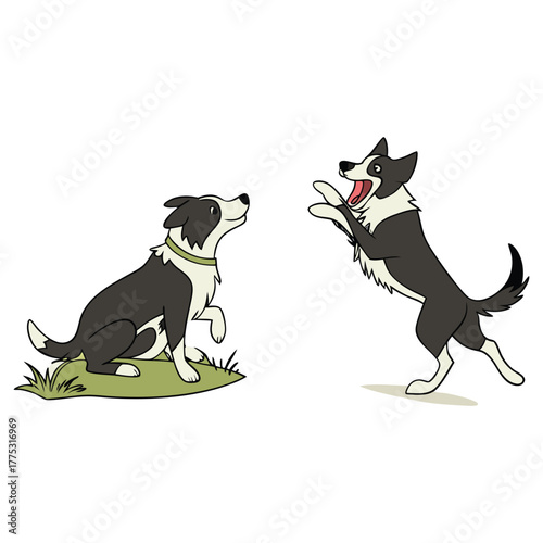 Dogs collection. Vector illustration of funny cartoon different breeds of dogs in trendy flat style. Isolated on white.