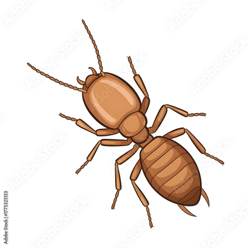 A termite illustration vector style