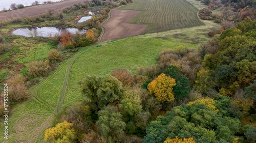 Aerial Vistula River farm land northern Poland 1. Forests with rural farm agriculture farm landscape. Historic and economic basis of eastern Europe. Autumn fall colors. Rich agricultural heritage.