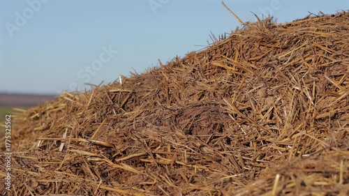 Farmers apply natural manure to enrich soil fertility, enhancing crop growth and sustainability in a sunny field environment
