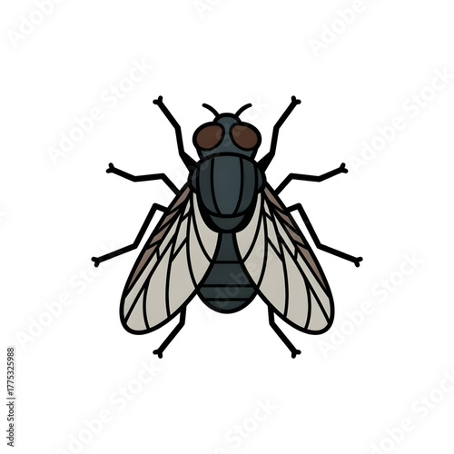 A house fly illustration vector style