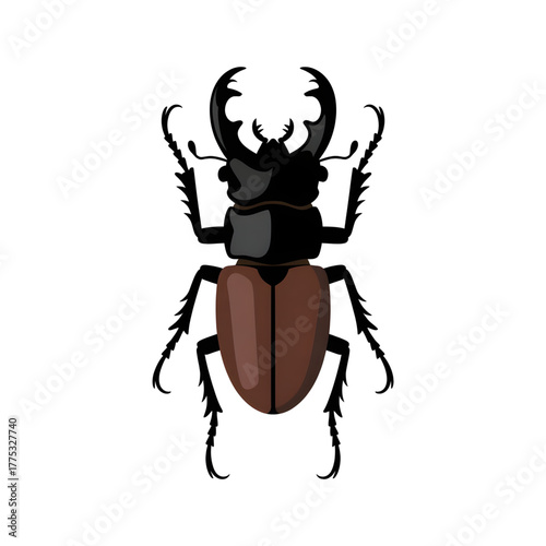 A stag beetle illustration vector style