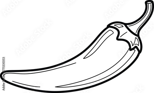 Chili pepper outline drawing vector illustration spicy food ingredient eps silhouette