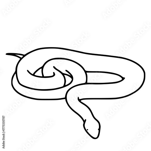 serpent or python wrapping outline drawing