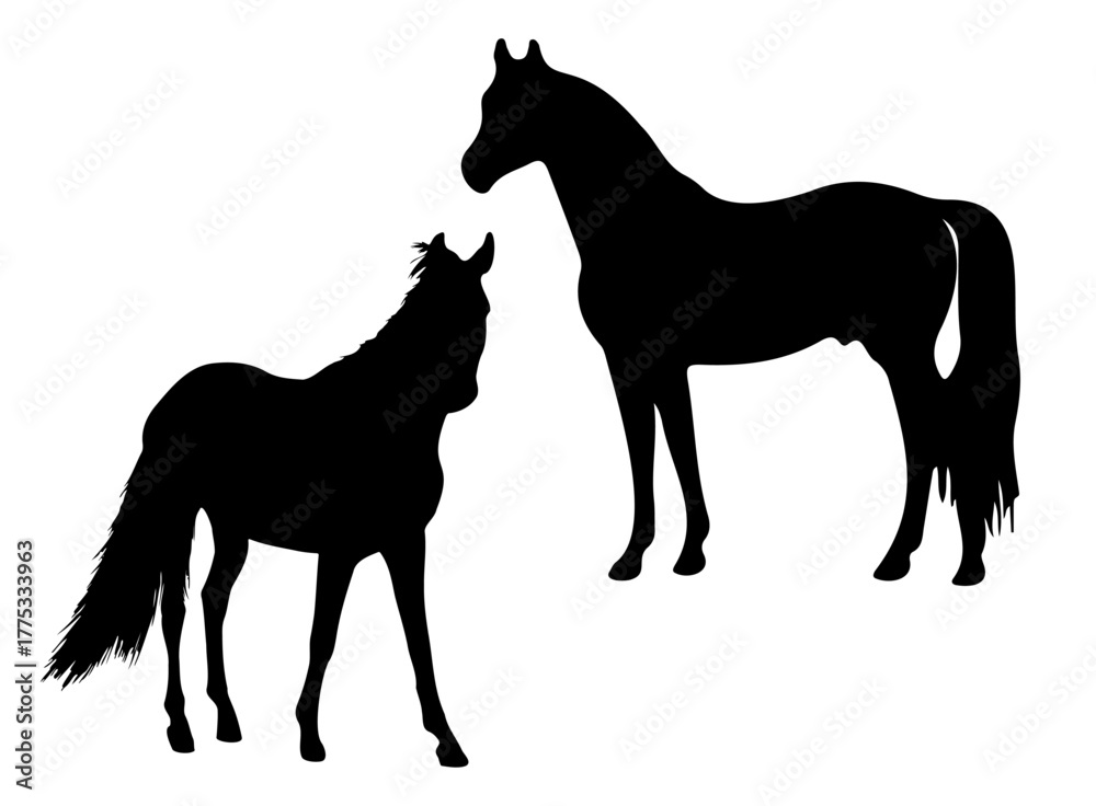 Obraz premium two black silhouettes of horses standing upright