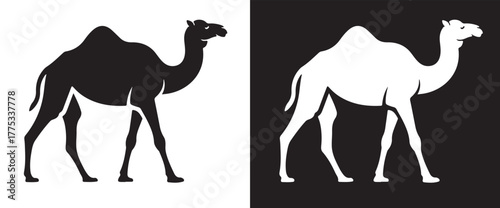 Camel Silhouette in Black and White Minimal Design on Contrasting Backgrounds
