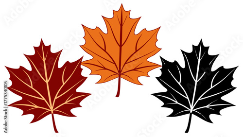 Vector illustration of canadian maple leaves in red, orange an black color isolated on white background. Suitable for marketing or business purposes. PNG file
