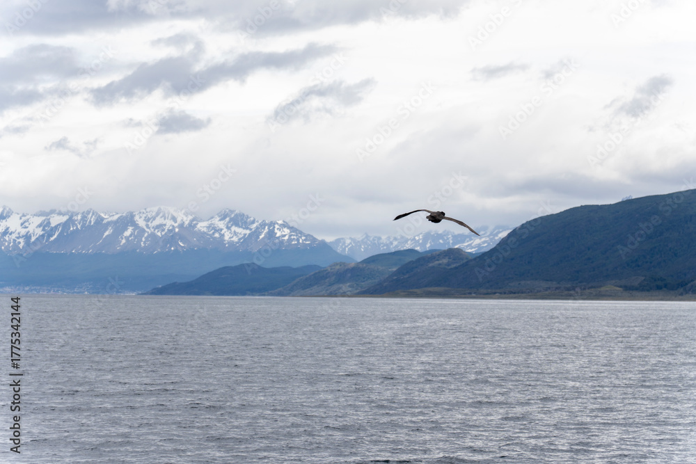 Fototapeta premium Navigating the Beagle channel from Ushuaia with sea lions, whales, penguins and various bird species, and the iconic Les Eclaireurs Lighthouse.