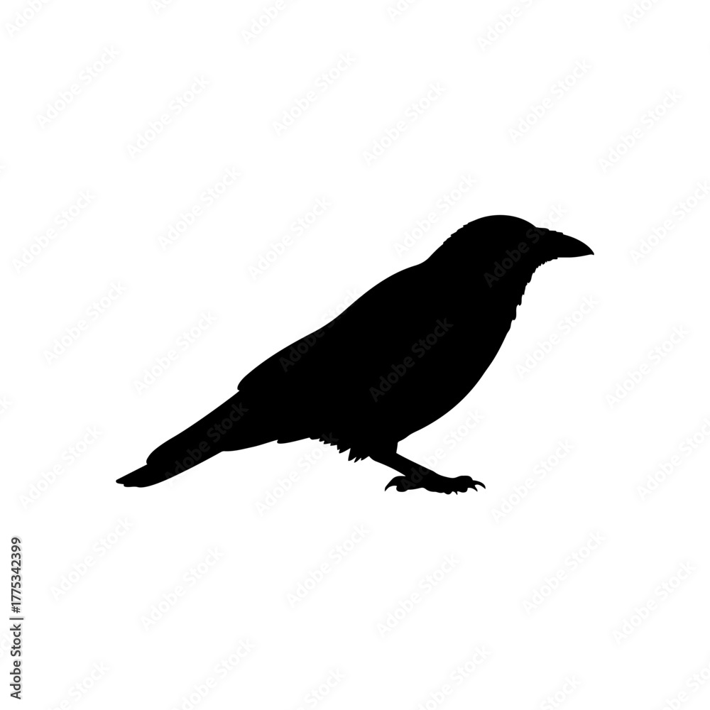 Obraz premium Hooded crow silhouette vector flat illustration design.