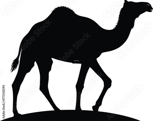 Camel silhouette vector desert animal illustration black and white art eps