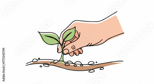 Hand planting seedling in the soil