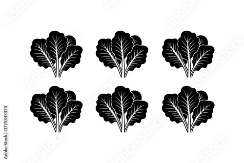 Six bunches of dark leafy greens are neatly arranged in two rows.