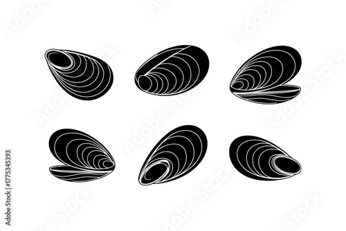 Six stylized black mussels are presented from different angles against a white background.