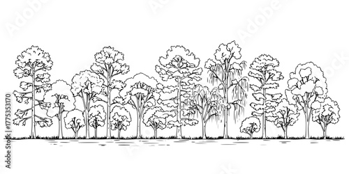 Architectural Drawings, Minimal style cad tree line drawing, Side view, set of section wetland forest outline for landscape design drawing. Vector illustration in seperate element