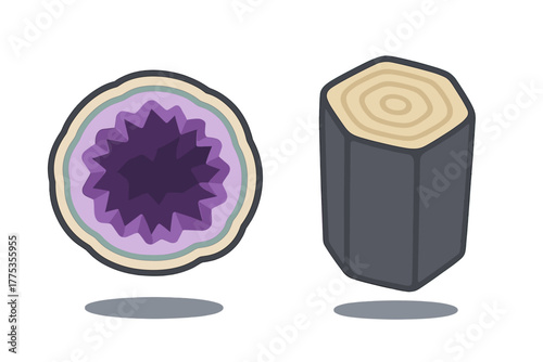 Amethyst geode cross section next to a tree trunk log slice showing growth rings and layers
