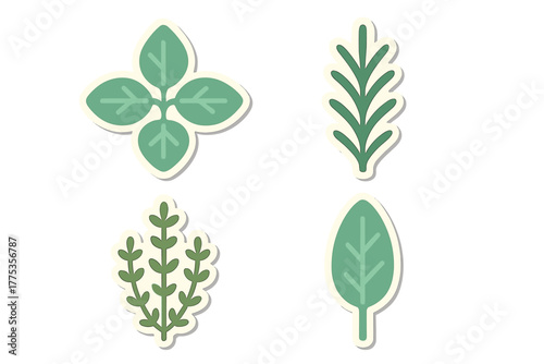 Set of four stylized green culinary herb leaves presented as modern stickers