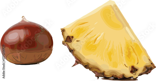 Chestnut and pineapple slice side by side, food ingredients, texture contrast, tropical fruit and nut, cad drawing flat vector illustration